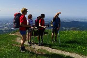 Spettacolo di narcisi e di tanti amici sul Linzone (1392 m) il 16 maggio 2015 - FOTOGALLERY